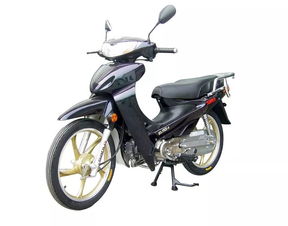 轻便摩托车
