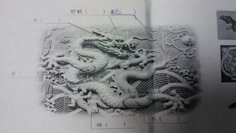 龙是由哪几种动物组成
