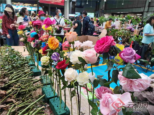 花卉市场批发在哪里?