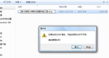bak是什么意思啊?