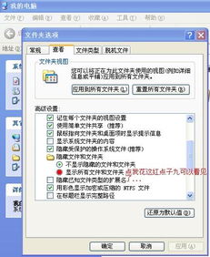 网络收藏夹
