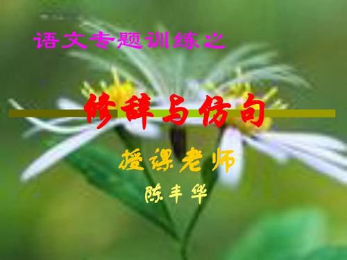 仿句大全
