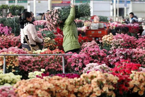 斗南花市
