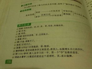 虽有嘉肴翻译及原文
