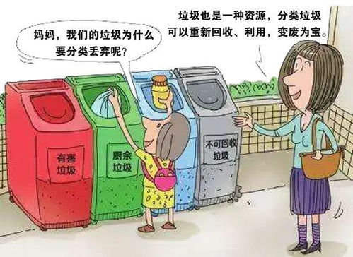 垃圾分类内容
