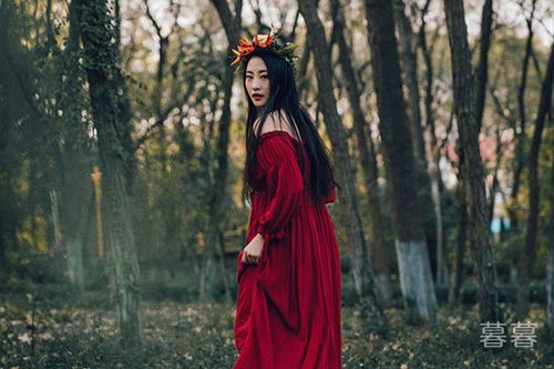 双子女一般人驯服不了
