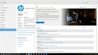 win10各版本区别 应该怎么选择