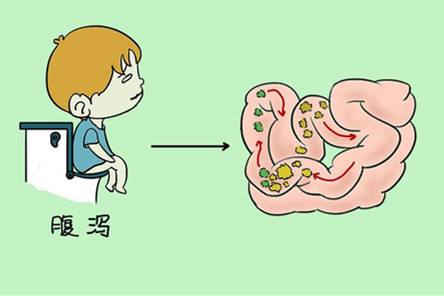 为什么长期拉肚子
