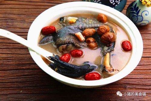 乌鸡汤可以放什么食材