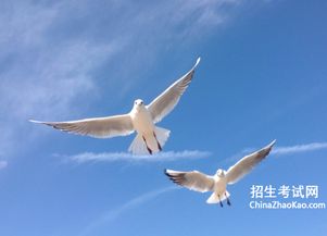 收拢反义词
