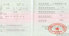 国家二级心理咨询师

