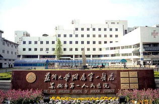 苏大附一院
