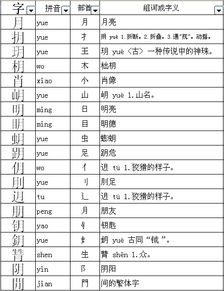 月的偏旁有什么字
