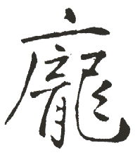 庞的拼音
