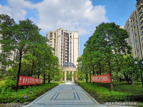 观澜属于深圳哪个区