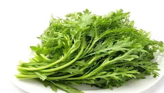茼蒿花的花语是什么?