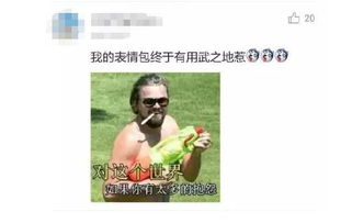 盛世美颜是什么意思
