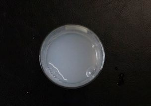 澄清石灰水的化学式