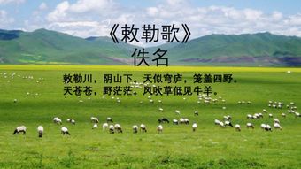 “风吹草低见牛羊”出自哪首诗?