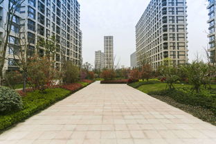 高中地理楼间距计算公式