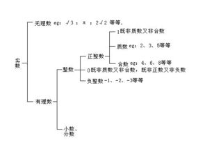 整数包括负数吗
