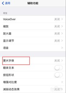 苹果手机字体怎么调大
