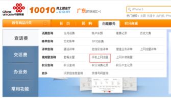 中国联通查流量
