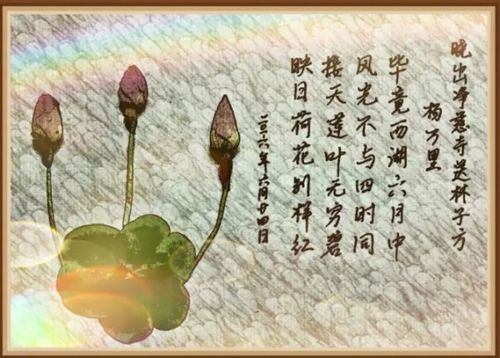 夏季的诗句
