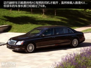 a1驾驶证能开什么车?
