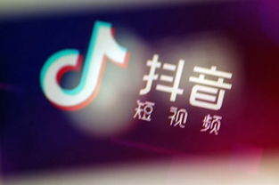 颤抖拼音

