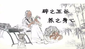什么叫辟谷
