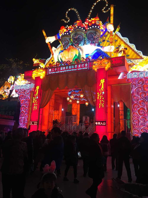 自贡灯会门票
