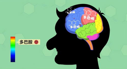 多巴胺分泌过多
