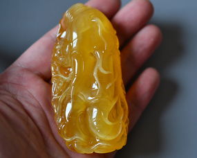 谁知道什么是金绞蜜?