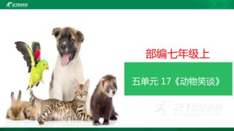 动物笑谈
