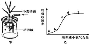 质壁分离实验

