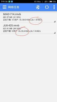 dl是什么意思
