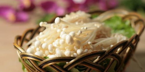 金针菇属于低嘌呤食物吗
