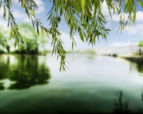吹皱一池春水
