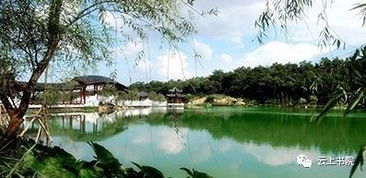 岳麓山海拔
