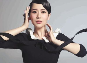 海清个人资料

