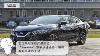 b照可以开什么车
