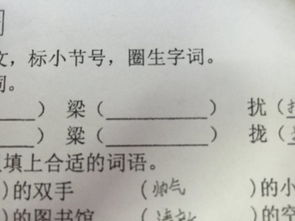 梁的组词
