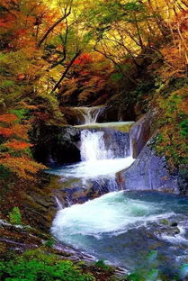 天平山上白云泉
