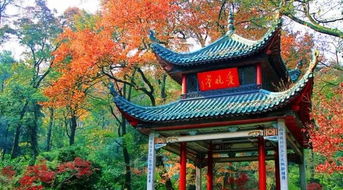 长沙岳麓山海拔是多少