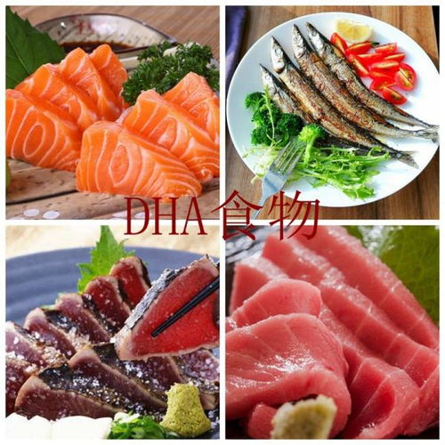 什么食物含dha比较高
