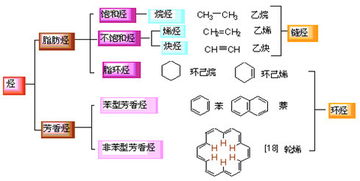 烃是什么
