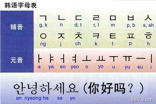 什么是表音文字