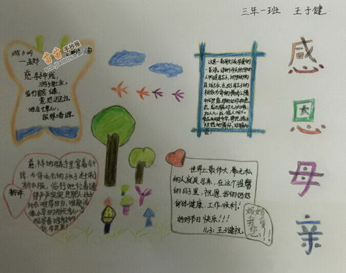 感恩母亲手抄报内容
