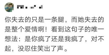 三观不正但好看的小说
